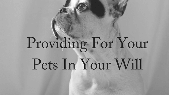 Providing For Your Pets In Your Will