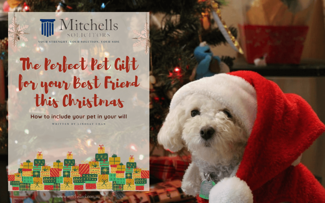 The Perfect Pet Gift For Your Best Friend This Christmas. How to include your pet in your will